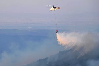 Le feu le plus important, qui présente un front unifié, continue dimanche de dévaster la région d'Evros, dans le nord de la Grèce.
